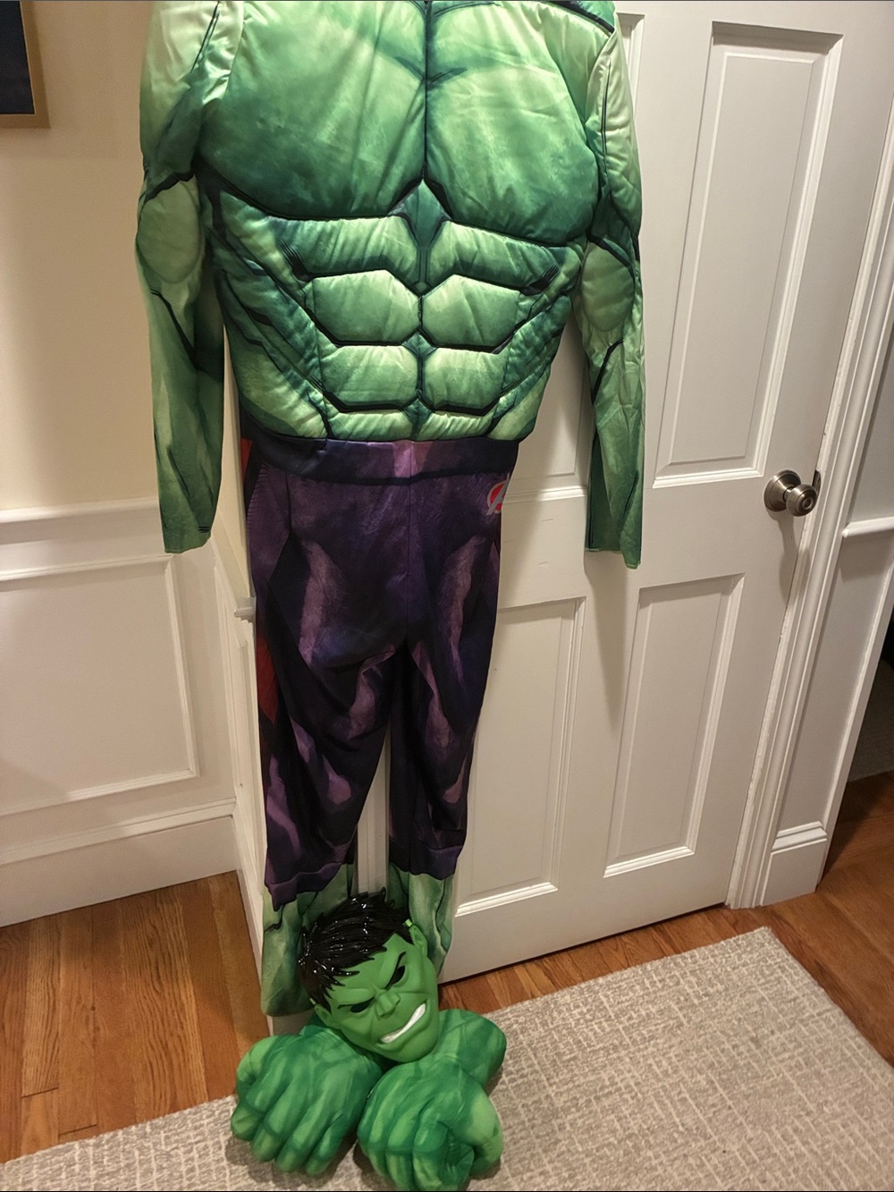 Green Hulk Mens Muscle Costume with Mask and Gloves